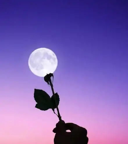  2021晚安语录,句句经典,魅力十足