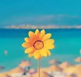  心态决定一切