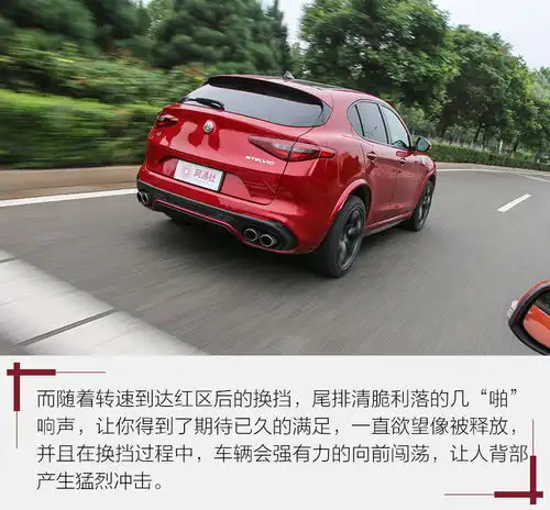  公路驾驶能文能武