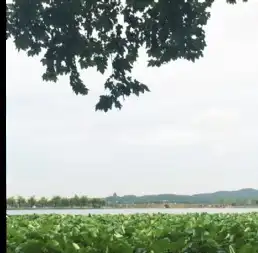  生物科学与技术学院