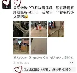  组图郑恺携神秘女子出游被偶遇女方口罩遮面身材火辣