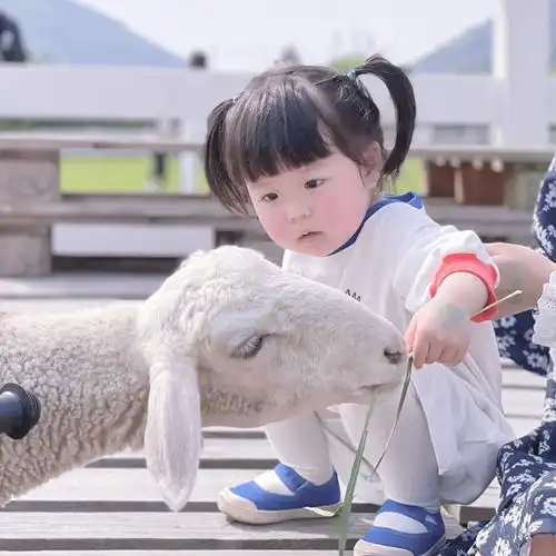  可爱丸子妹头像