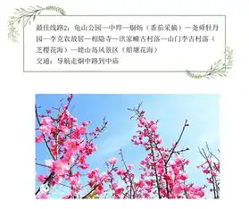  面向巢湖花开万顷2019醉美巢湖赏花线路图发布