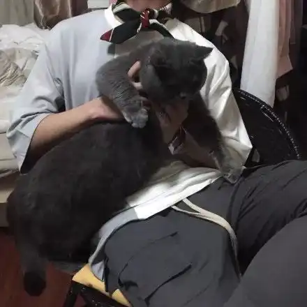  不论你承不承认和志同道合的人在一起就是会更快乐