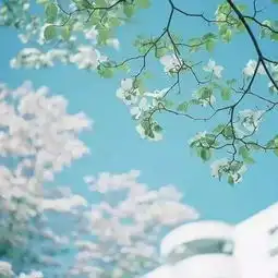  2017上半年最火的一首小诗,美到骨子里