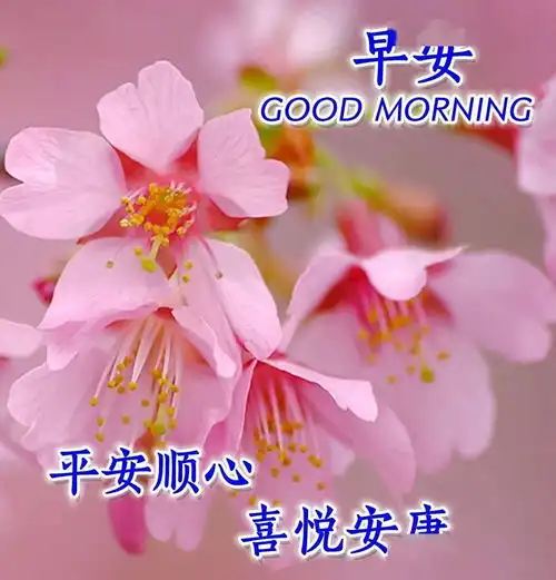  2月9日最精辟的早晨问候语录精选早安心语祝福图片大全