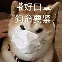  轨迹公布厦门境外输入确诊11,10例为印度籍,均为日本输入刚刚,此地疫情再上热搜...隔离