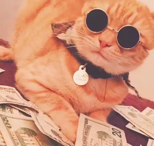 微信头像女招财2025猫咪