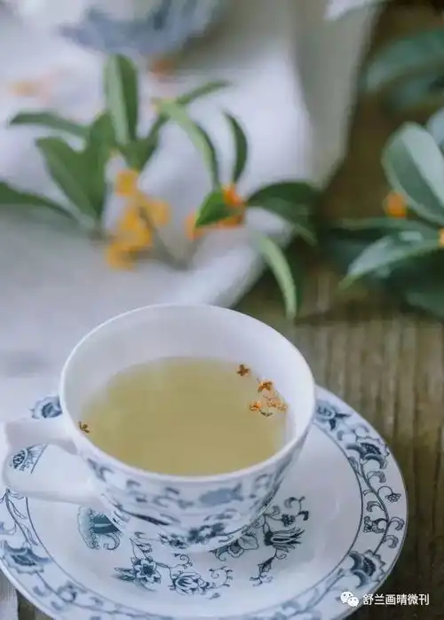  一壶一书一秋光,半梦半醒半禅思