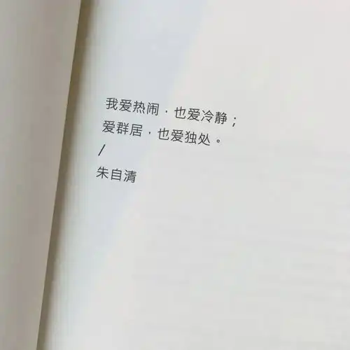  句子文案我已经选好了情节,就差一个男主角