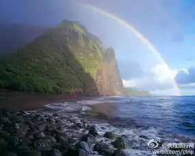  网页链接