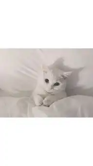 微信头像女生简单大方小