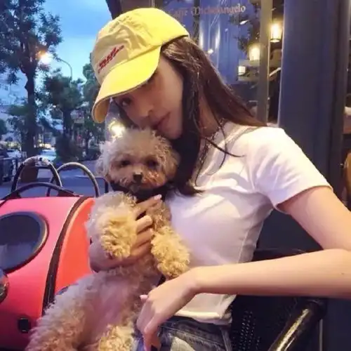  可爱呆萌萌宠头像,抱宠物男女生头像合集