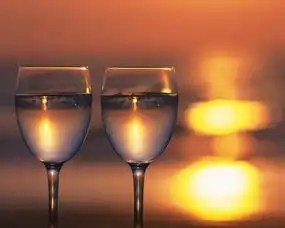  拜伦格尔红酒酒杯里的诗和远方