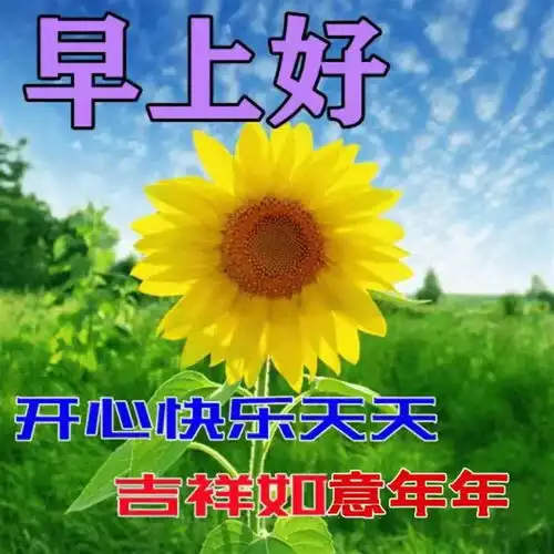 有太阳光的微信头像句子