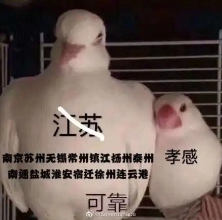  轻松一刻小偷作案竟然不戴口罩失主气炸了