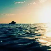  动物油画棒画图片大全微信头像图片大全