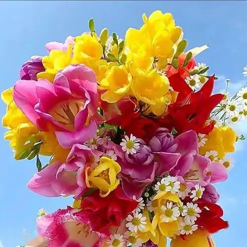  中老年头像大全最招财祈福吉利微信头像