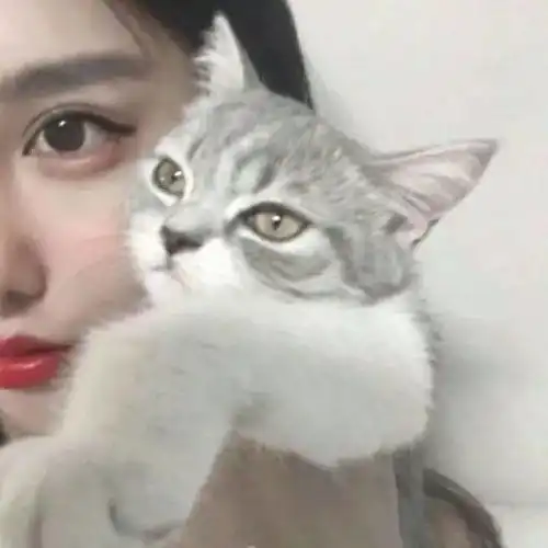  超漂亮的女生抱着萌宠合照头像