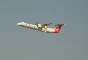  2020年全球最佳航空公司排名出炉新西兰航空夺冠