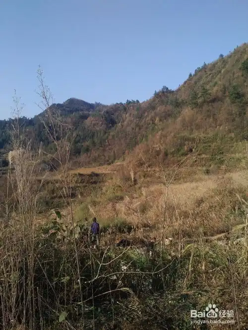  山水风景拍摄记实