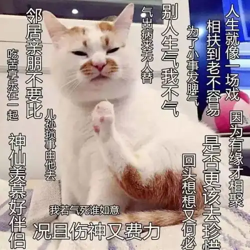  佛系户外,说的是你吗