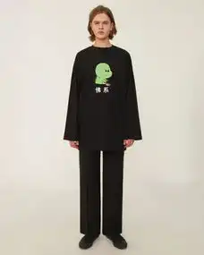  近年来获得的成功与不足
