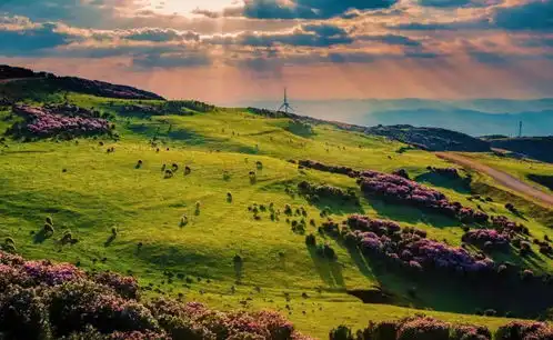  多彩贵州,究竟私藏了多少美景