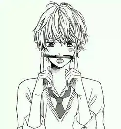  这个是什么漫画求告知