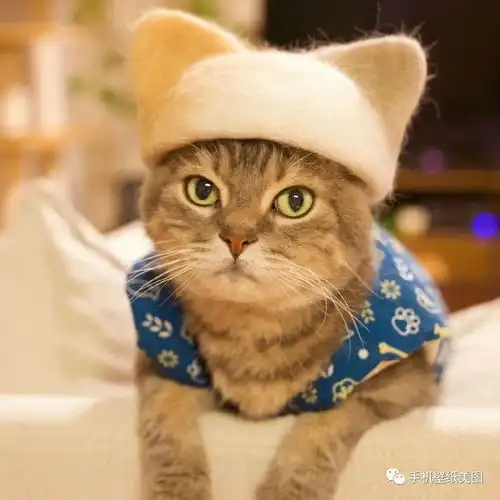  2021比较好看的高清头像