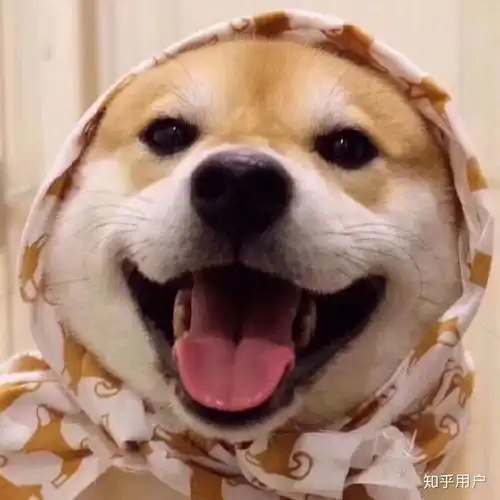  幽默感