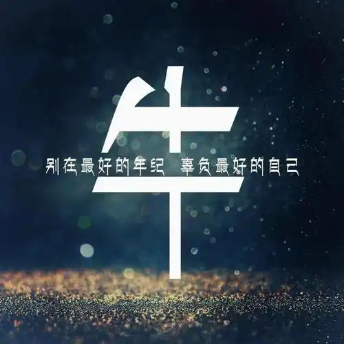  微信头像别在最好的年纪,辜负最好的你