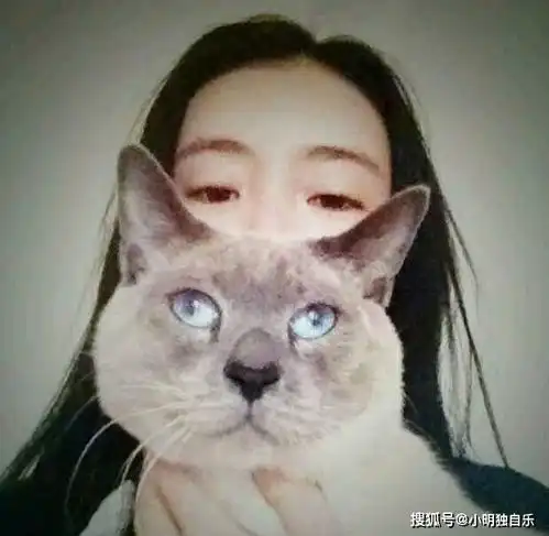  你不得不服的十二星座优缺点,源自十二星座人的总结