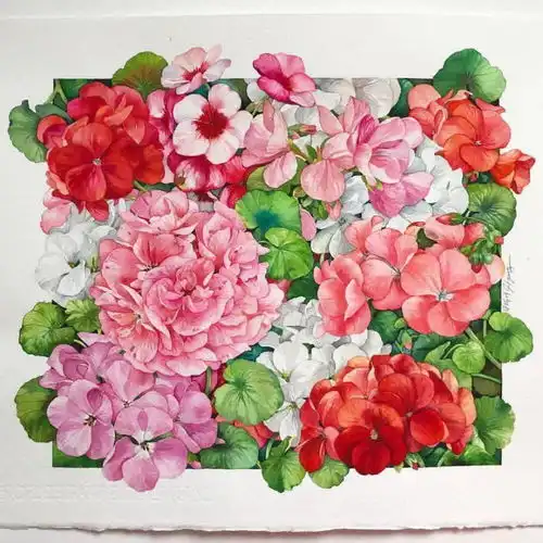  一笔一画,人美画更美