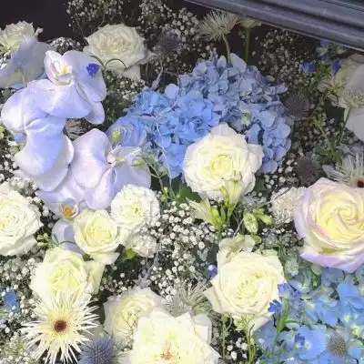女生头像花朵唯美清新美
