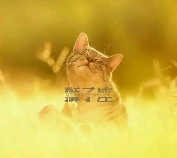  最让异性朝思暮想的三大星座女,颜值是其次,关键是内在魅力
