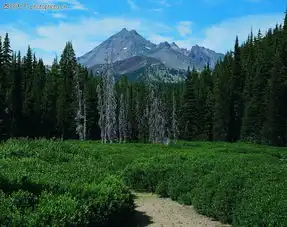  山水剪影0126山水剪影图自然风景图库茶叶农作物高原林木衫木