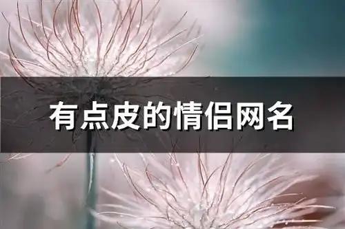  有点皮的情侣网名88个