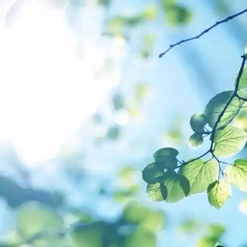  天秤座的感情观,也许只有天秤自己懂