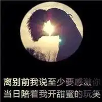  头像带字花草微信头像图片大全