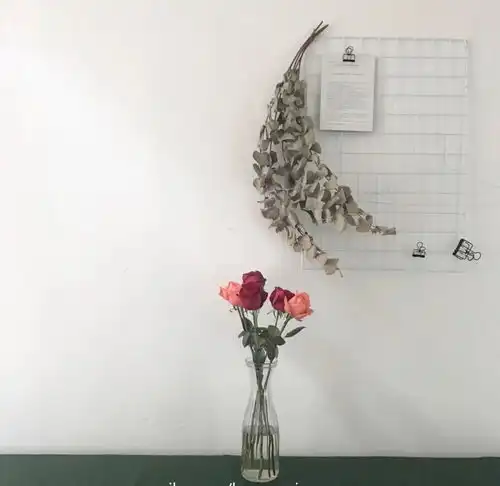  谈什么恋爱啊,我想暴富