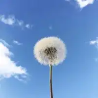 独一无二极简头像风景随缘