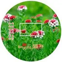 微信头像风景或花草鸟