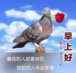  九月十一早上好的问候语图片周三早上好表情带祝福句子