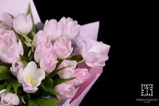  2019情人节珍珠花礼限定系列珍遇