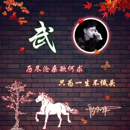  用你的照片制作微信头像,十几款精致简约画中画签名头像,请查收