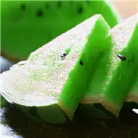  小清新好看静物头像人生的小确幸
