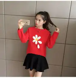  2019新款女装花朵韩版毛衣女套头春秋季宽松短款针织打底衫学院风