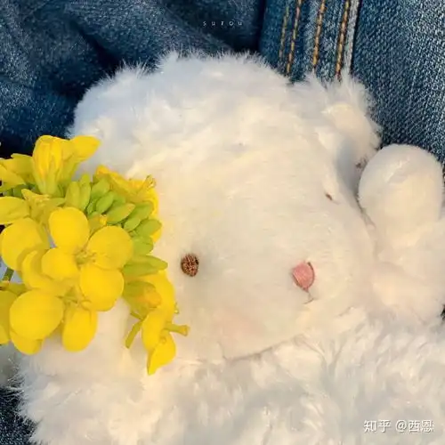 可爱无水印的羊羊图片