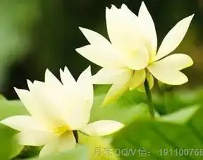  当你累了时,请看看下面这些励志小故事